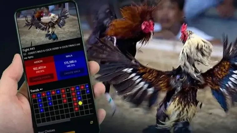 Đá Gà Loto188: Tổng Hợp Thông Tin Chi Tiết Và Hấp Dẫn Nhất