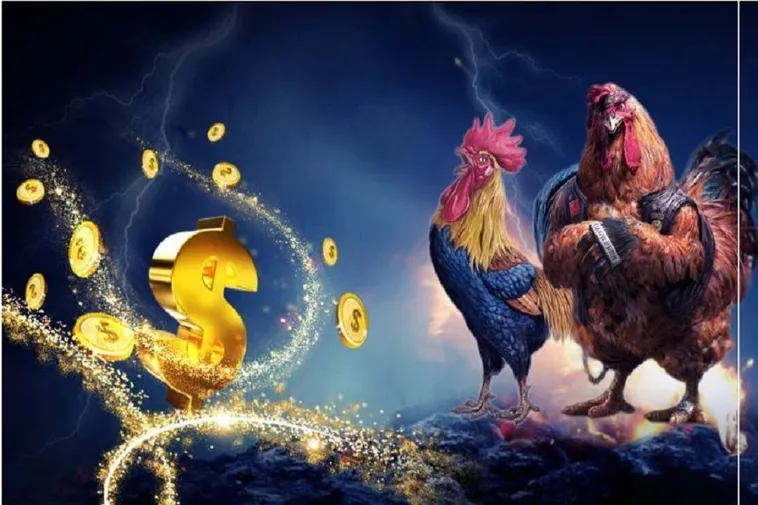 Hướng Dẫn Cách Chơi Đá Gà WS168 Tại Loto188 Đầy Đủ Nhất 2 Hướng Dẫn Cách Chơi Đá Gà WS168 Tại Loto188 Đầy Đủ Nhất