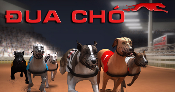 Hướng Dẫn Chơi Game Nhanh Đua Chó Tại Loto188 Hiệu Quả Nhất