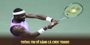 Tìm Hiểu Cá Cược Quần Vợt Loto188: Hành Trình Giải Trí Đỉnh Cao